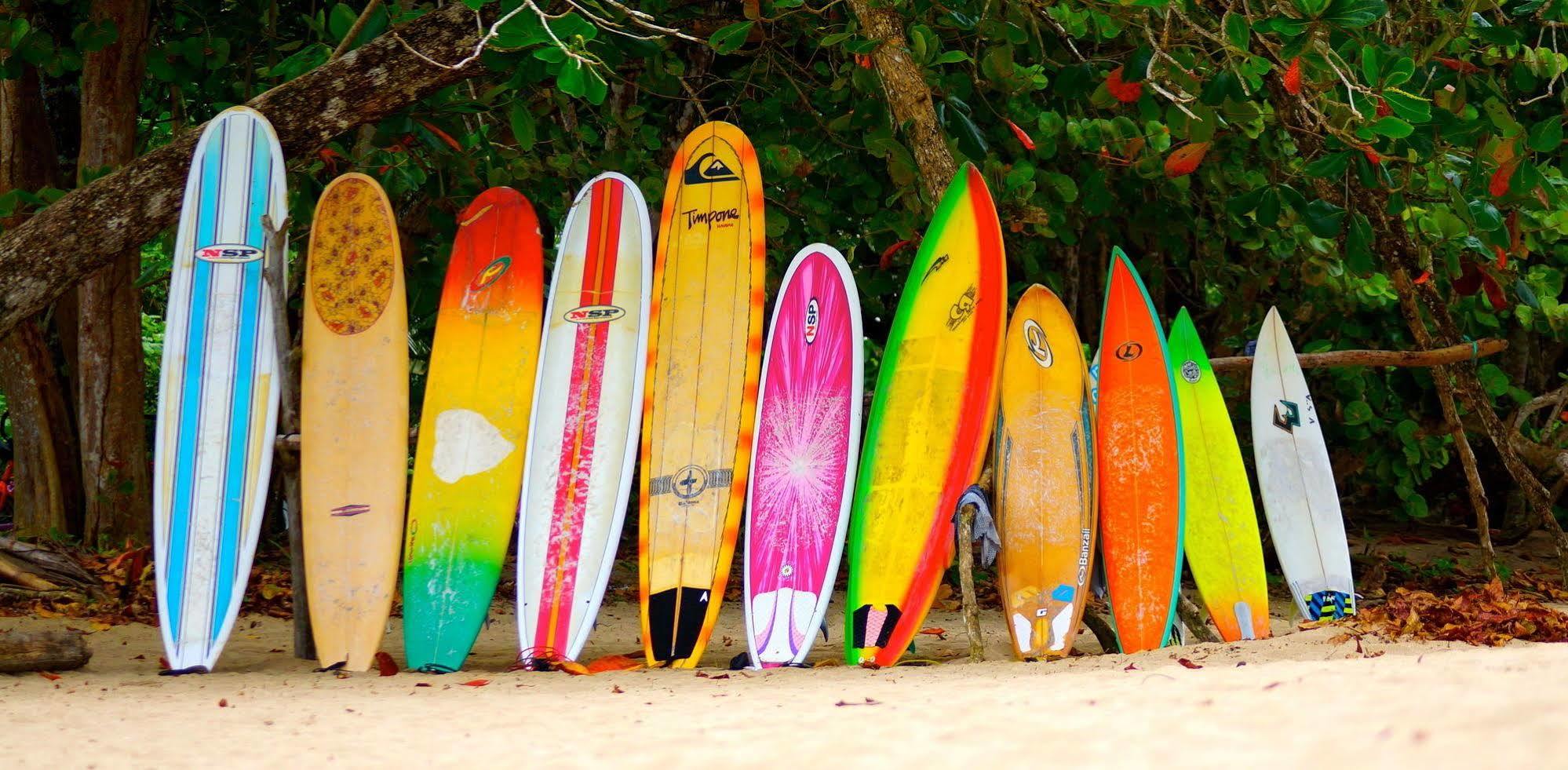 Physis Caribbean Bed & Breakfast Puerto Viejo de Talamanca Exterior foto